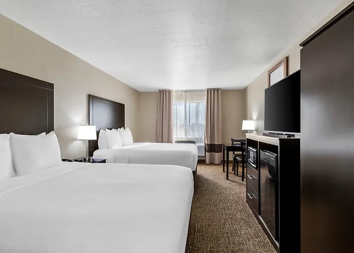 Comfort & Near Sun West Surprise